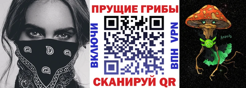 продажа наркотиков  Сухиничи  Псилоцибиновые грибы прущие грибы 